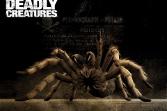 Deadly_creatures_-1152x864